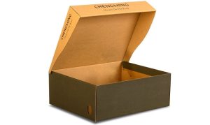 Shipping Shoe Box